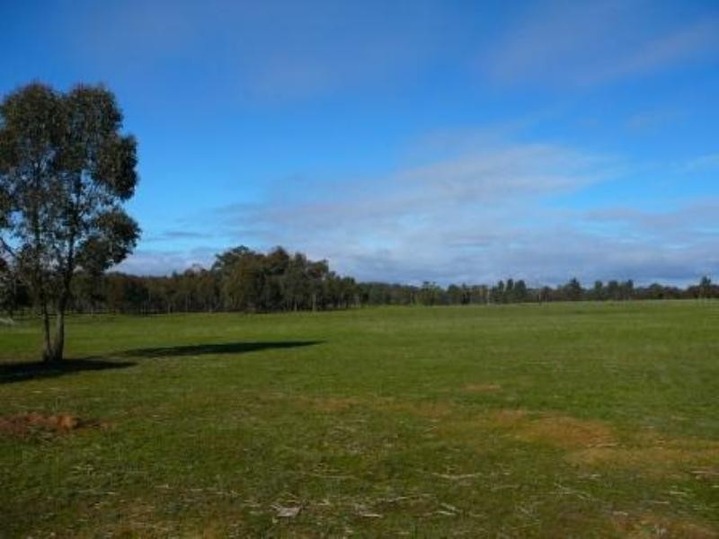 1175 Seymour Tooborac Road, Seymour VIC 3660