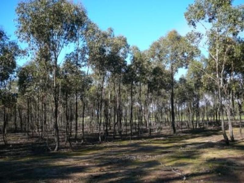 1175 Seymour Tooborac Road, Seymour VIC 3660