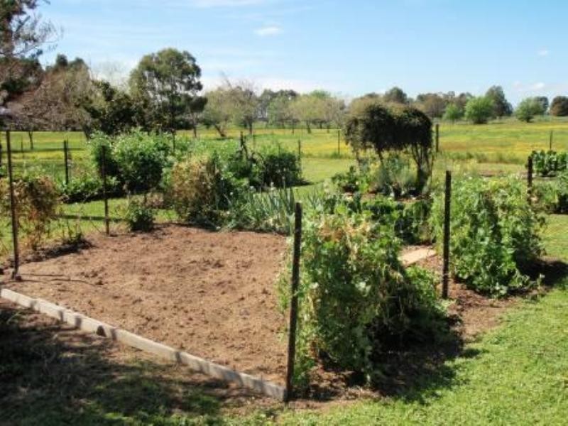 52 Morison Road, Seymour VIC 3660