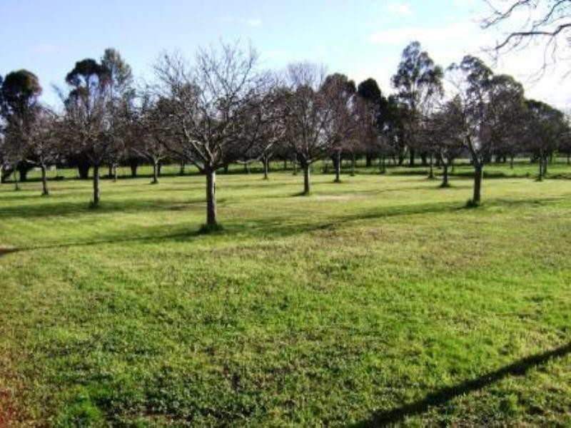 52 Morison Road, Seymour VIC 3660