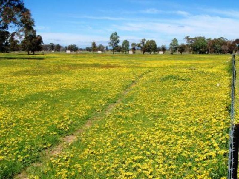 52 Morison Road, Seymour VIC 3660