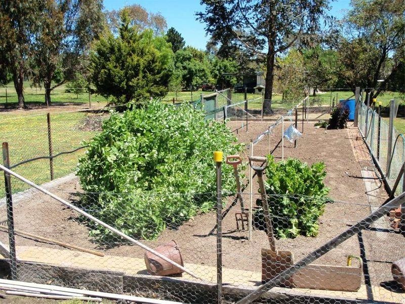 10 Allara Court, Seymour VIC 3660