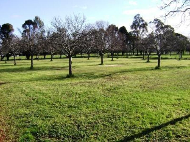 52 Morison Road, Seymour VIC 3660