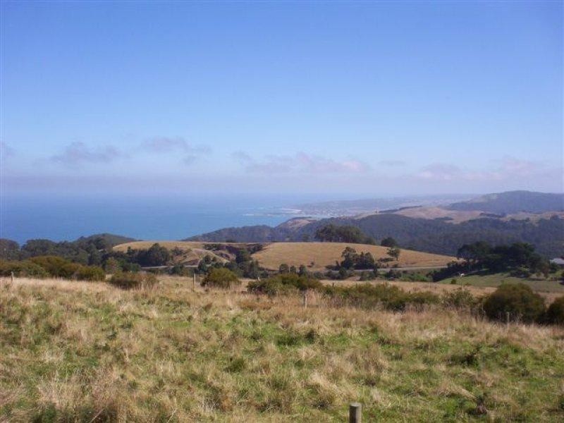 660 Skenes Creek Road, Apollo Bay VIC 3233