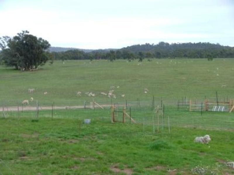 1105 Seymour Tooborac Road, Seymour VIC 3660