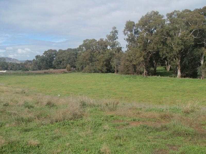 239 Ewings Road, Avenel VIC 3664