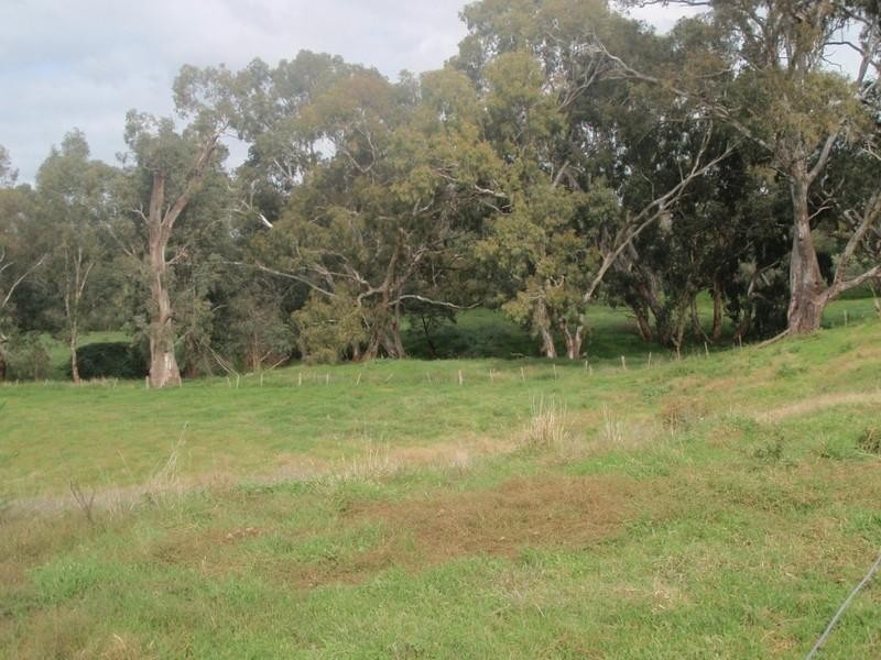 239 Ewings Road, Avenel VIC 3664