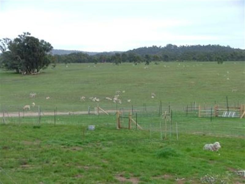 1105 Seymour Tooborac Road, Seymour VIC 3660