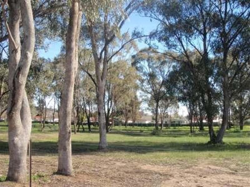 25 Delatite Road, Seymour VIC 3660