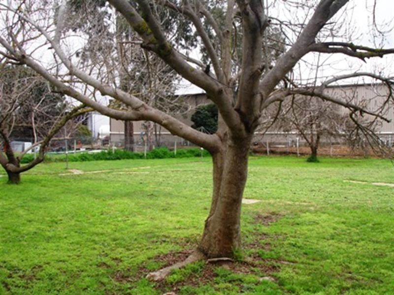 6/31 High Street, Seymour VIC 3660