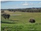 Lot 2 Seymour Pyalong Road, Seymour VIC 3660