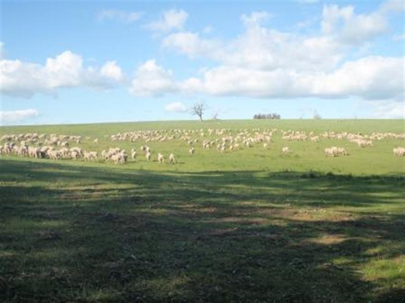 Lot 2 Seymour Pyalong Road, Seymour VIC 3660