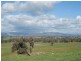 Lot 3 Seymour Pyalong Road, Seymour VIC 3660