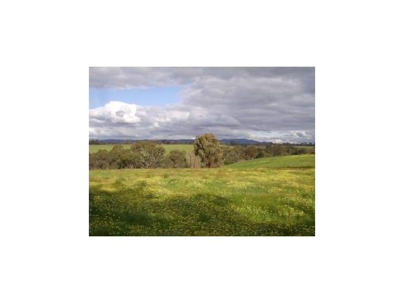725 Seymour Pyalong Road, Seymour VIC 3660