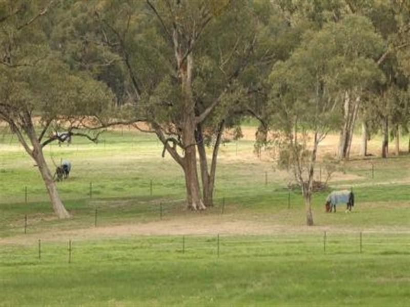 85 Dawe Road, Seymour VIC 3660