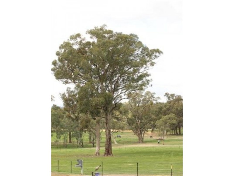 85 Dawe Road, Seymour VIC 3660