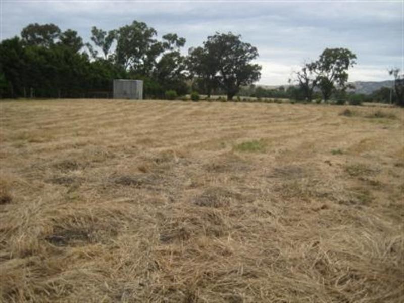 Lot 4 and 5 Farrah Place, Avenel VIC 3664