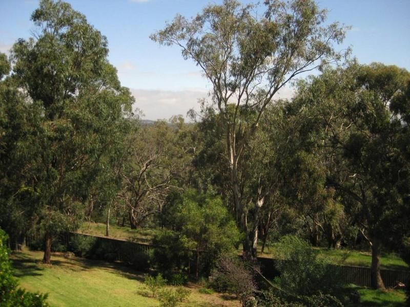 10 Delhi Street, Seymour VIC 3660