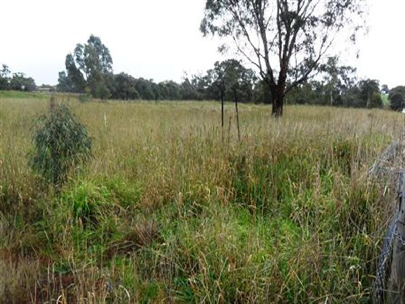 15 Manse Hill, Seymour VIC 3660