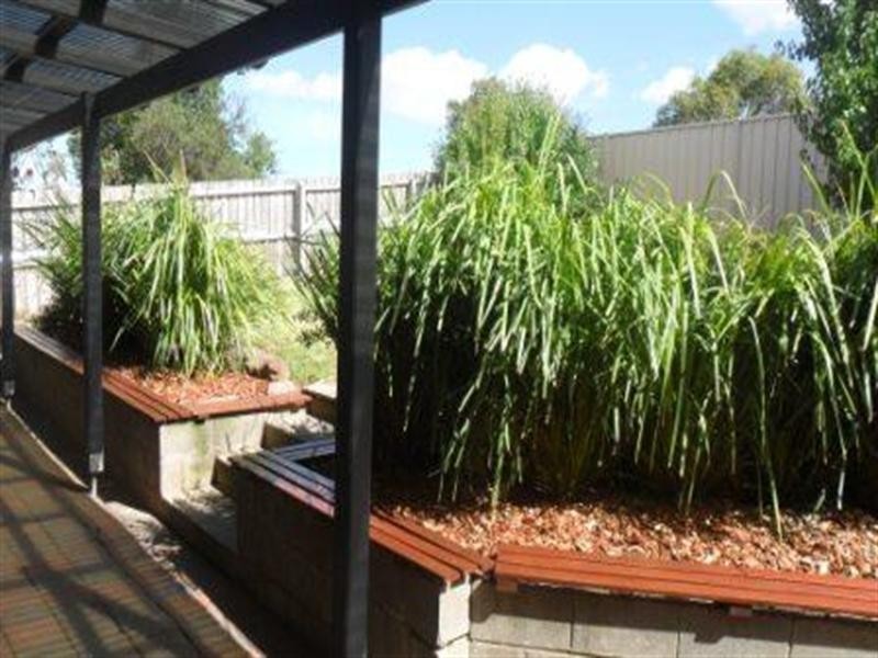 29 Hanley Crescent, Seymour VIC 3660