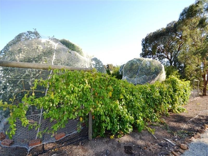 110 Dawe Road, Seymour VIC 3660