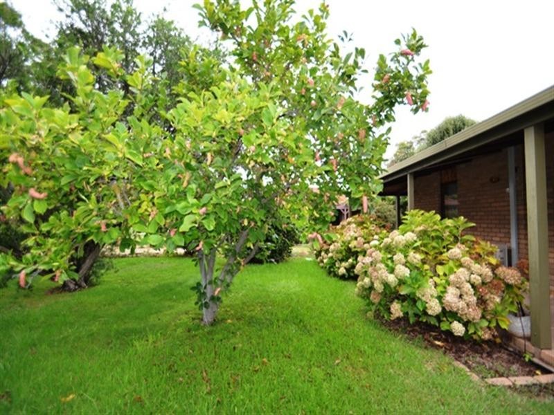 8 Jones Street, Avenel VIC 3664