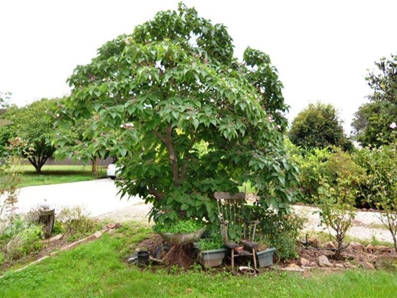 8 Jones Street, Avenel VIC 3664