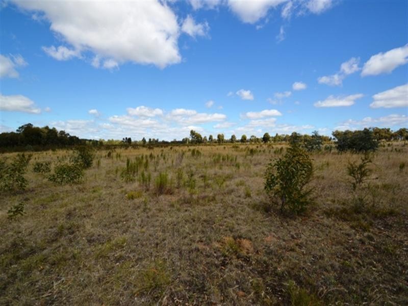 1175 Seymour-tooborac Road, Seymour VIC 3660