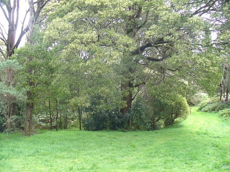 57-81 Great Ocean Road, Lavers Hill VIC 3238