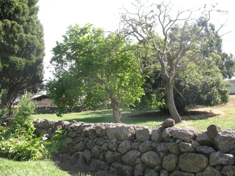 3172 Macarthur-Penshurst Road, Penshurst VIC 3289