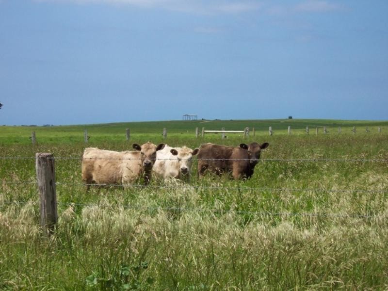 20 Sheehans Road, Crossley VIC 3283