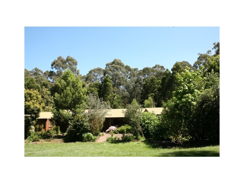2773 Cobden Warrnambool Road, Naringal East VIC 3277 the real estate