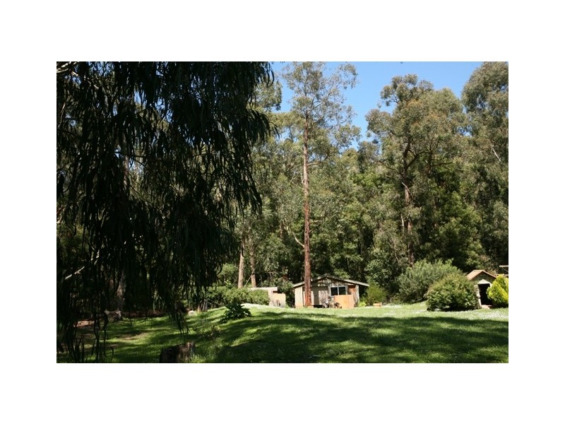 2773 Cobden Warrnambool Road, Naringal East VIC 3277 the real estate