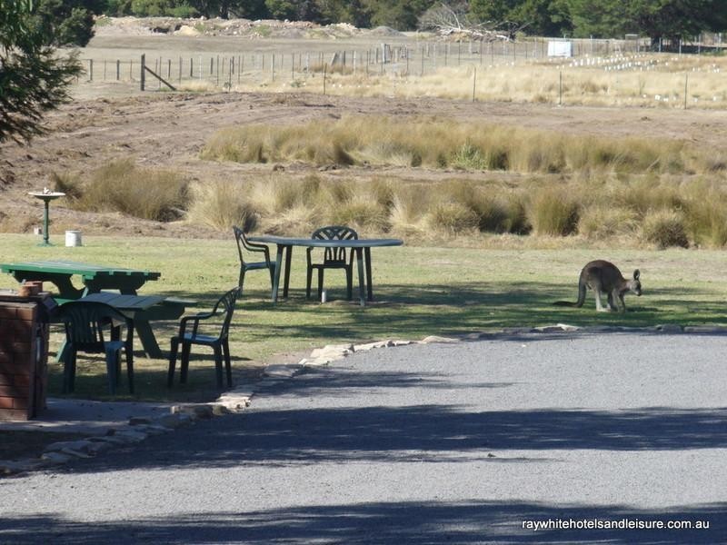 153 Grampians Road, Halls Gap VIC 3381