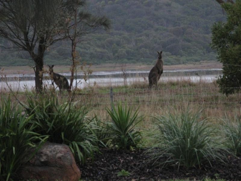 25 Lowery Road, Crossley VIC 3283