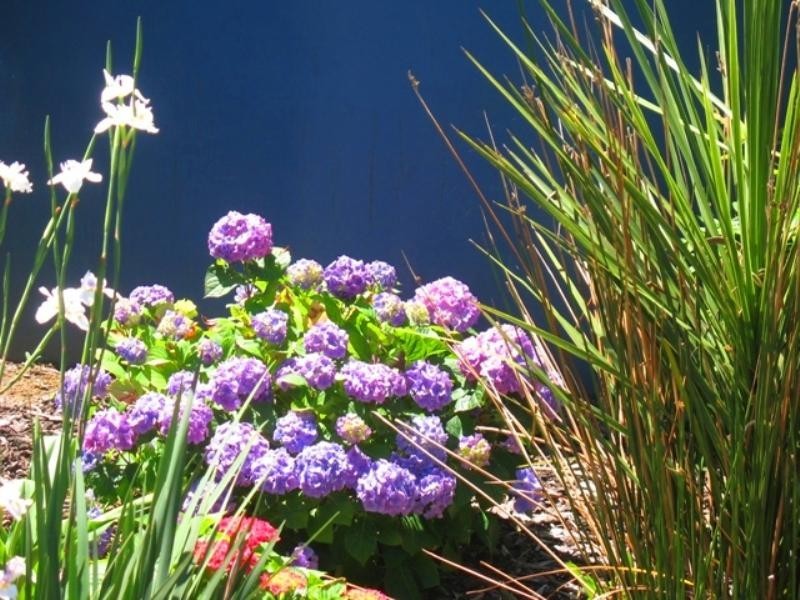 25 Lowery Road, Crossley VIC 3283