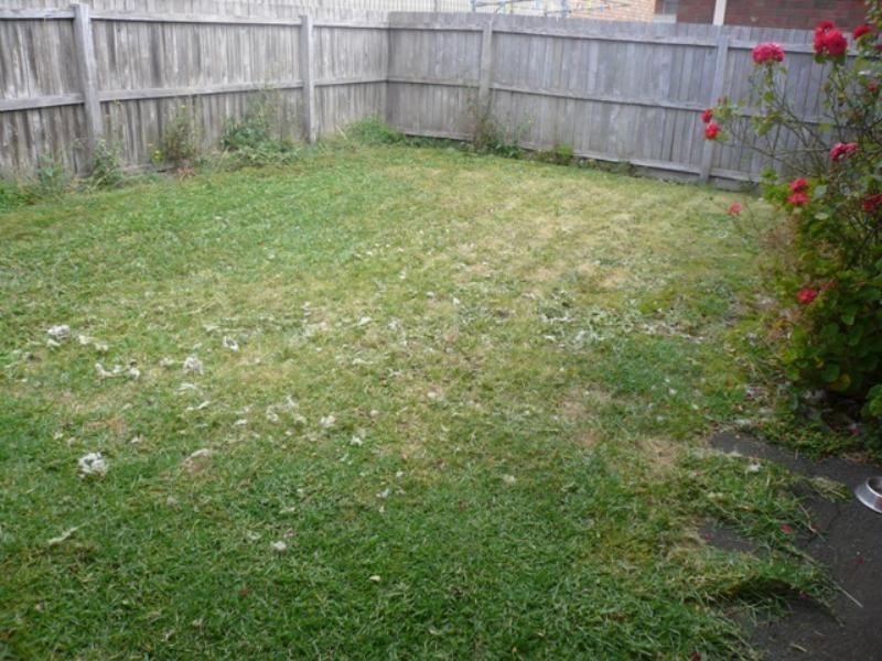 1/1 Cassie Close, Warrnambool VIC 3280