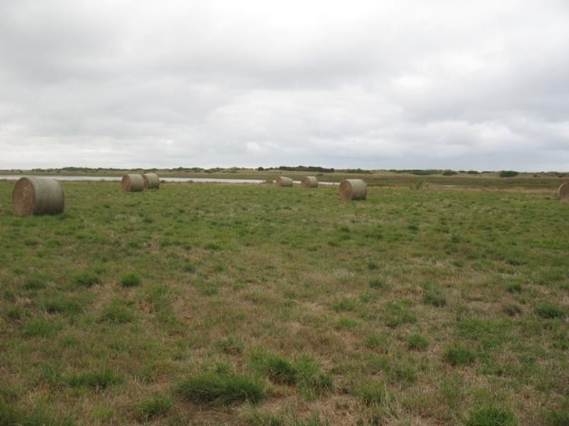 51 Sheedys Road, Killarney VIC 3283