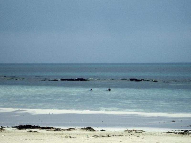 51 Sheedys Road, Killarney VIC 3283