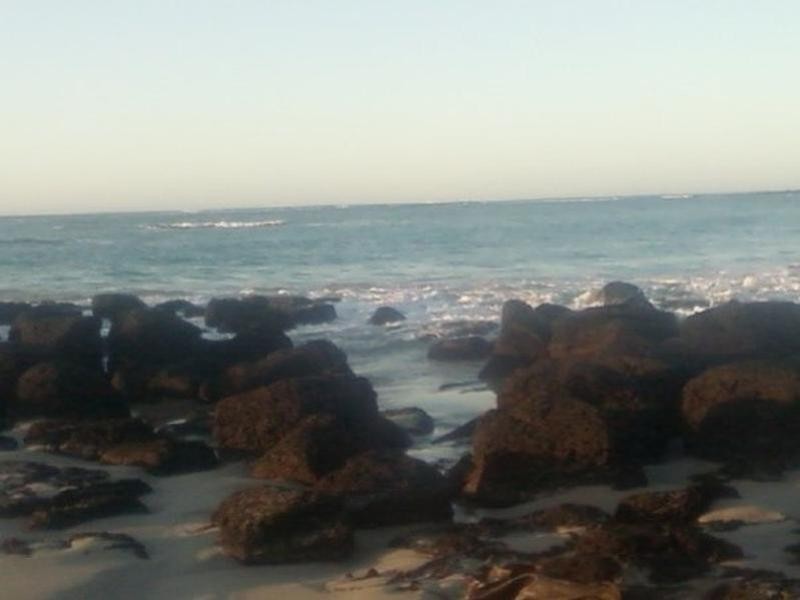 51 Sheedys Road, Killarney VIC 3283