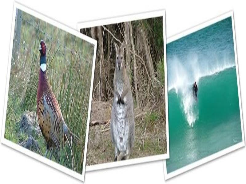 “Baudin’s” The Esplanade, Naracoopa TAS 7256