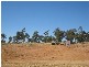 Emerald QLD 4720