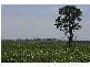 Springsure QLD 4722