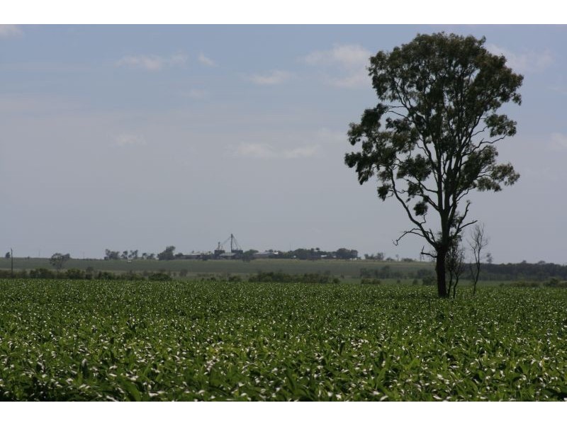 Springsure QLD 4722