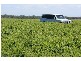 Springsure QLD 4722