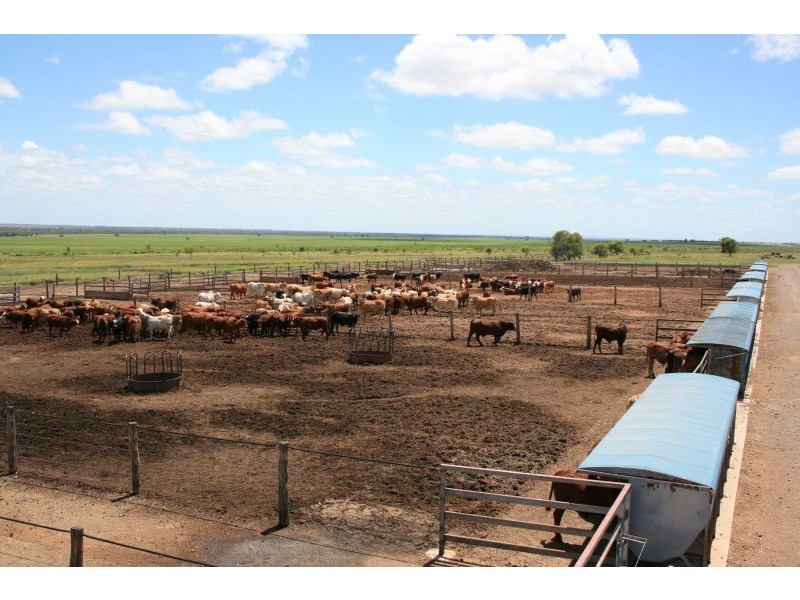 Springsure QLD 4722