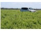 Springsure QLD 4722