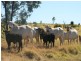 Emerald QLD 4720