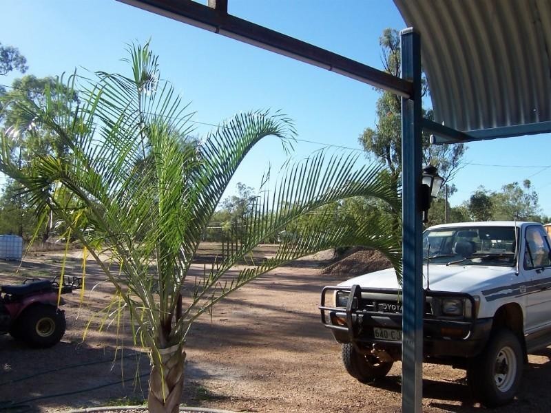 Sapphire QLD 4702