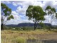 Springsure QLD 4722